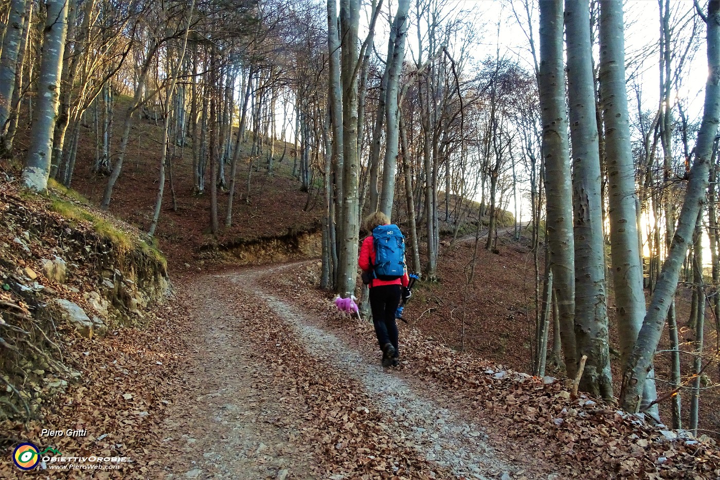 14 Sulla sterrata per il sent. panoramico del Colderu.JPG